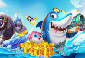 大小单双导师带赚包赔