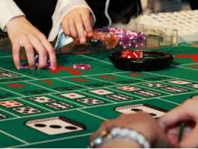 大小单双导师带赚包赔免费版